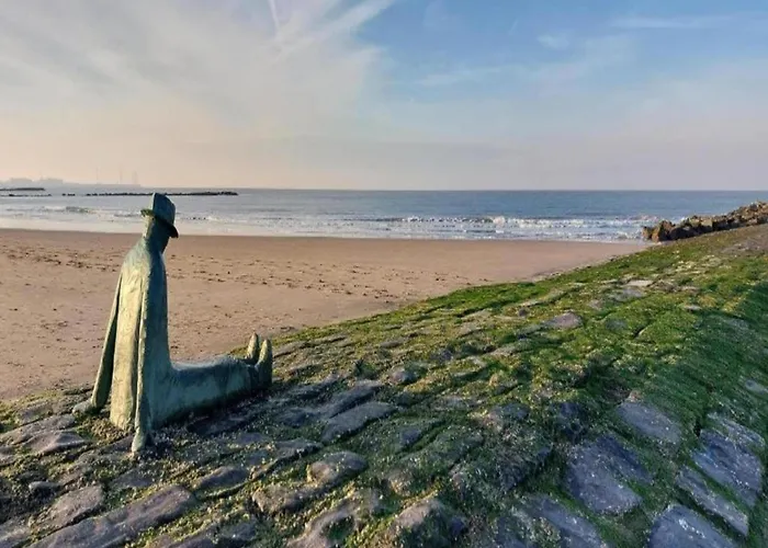 Appartement Modern Coastal In