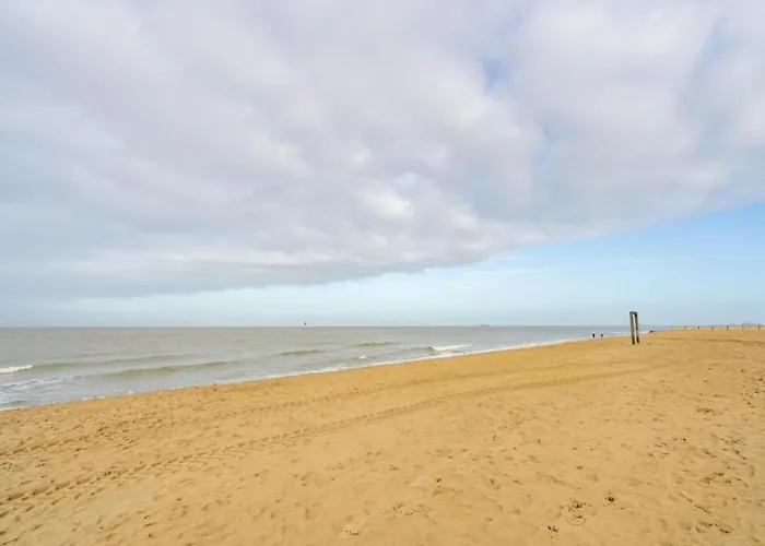 Modern Coastal In Knokke-Heist