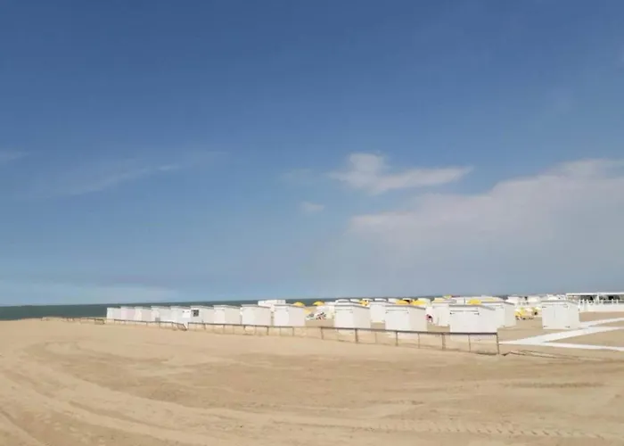 Apartment Modern Coastal In