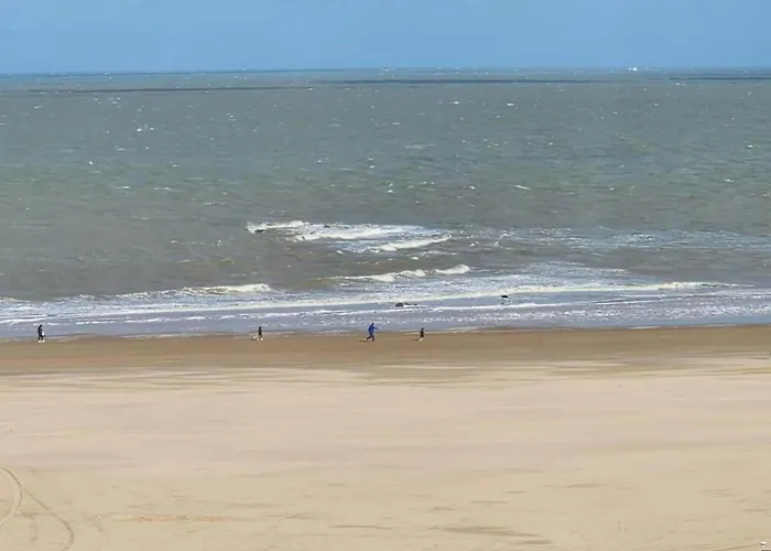 Modern Coastal In Appartement