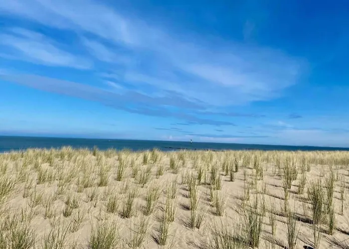 Appartement Modern Coastal In Knokke-Heist